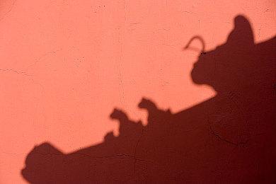 童话风俯视角回合制策略游戏《Wonderland》Steam页面 明年1日免费上线